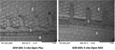 Standardized in vitro bleeding tests in a non-coated novel hybrid prosthesis for frozen elephant trunk demonstrates minimal oozing during full heparinization, supported by clinical data